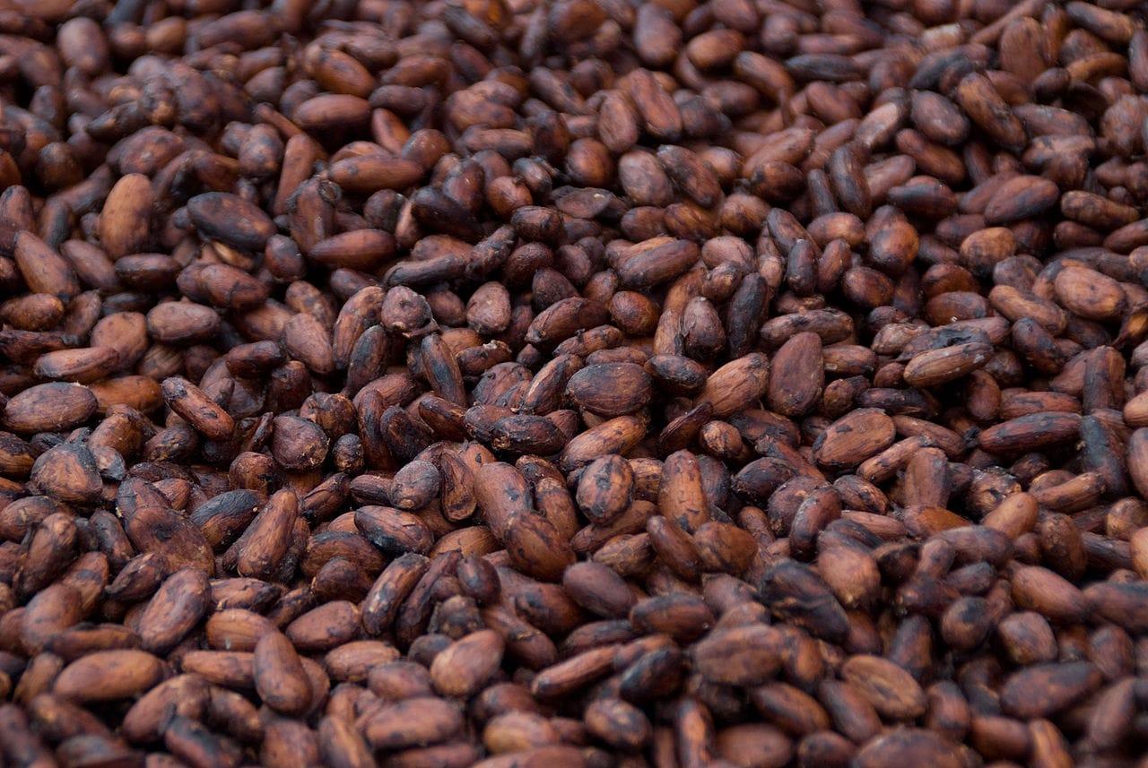 Cocoa Beans Image 4