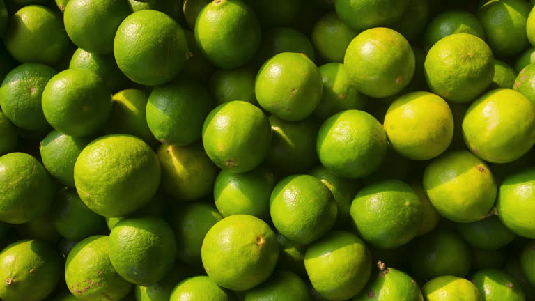 Your Expert Guide to Procuring Top-Tier Lime: Top 5 Lime Suppliers in Italy in Year 2025