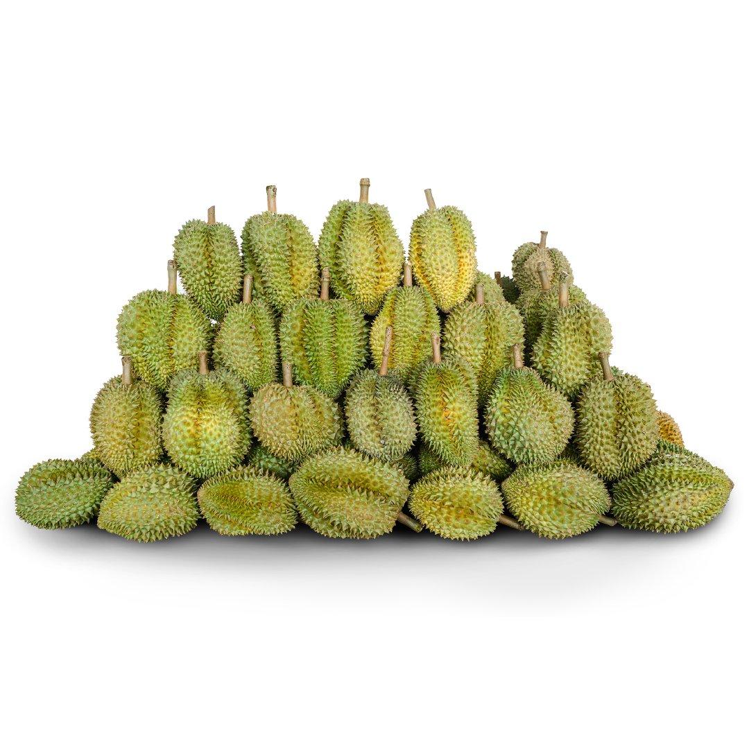 Healthy Fresh Durian Fruits Carefully Selected Premium Freshness Excellent Taste Perfect For Daily Consumption