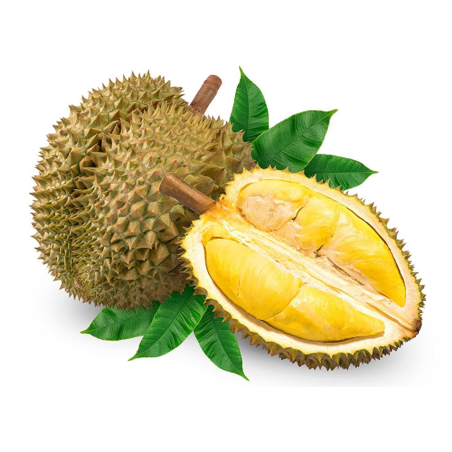 f5e3788e6a0b452fb32bbee797838b86