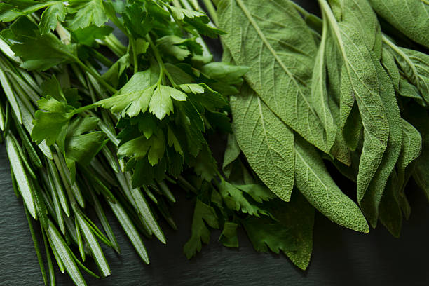 Top 5 Herbs Suppliers in Malaysia in June 2025: Market Trends, Challenges & Strategic Insights
