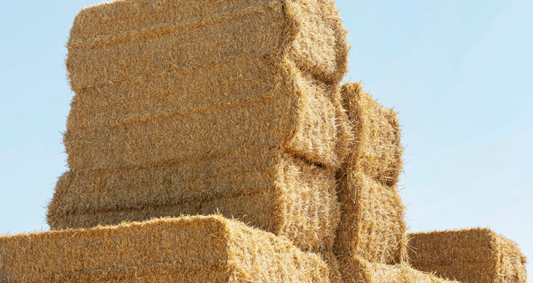 Wheat Straw