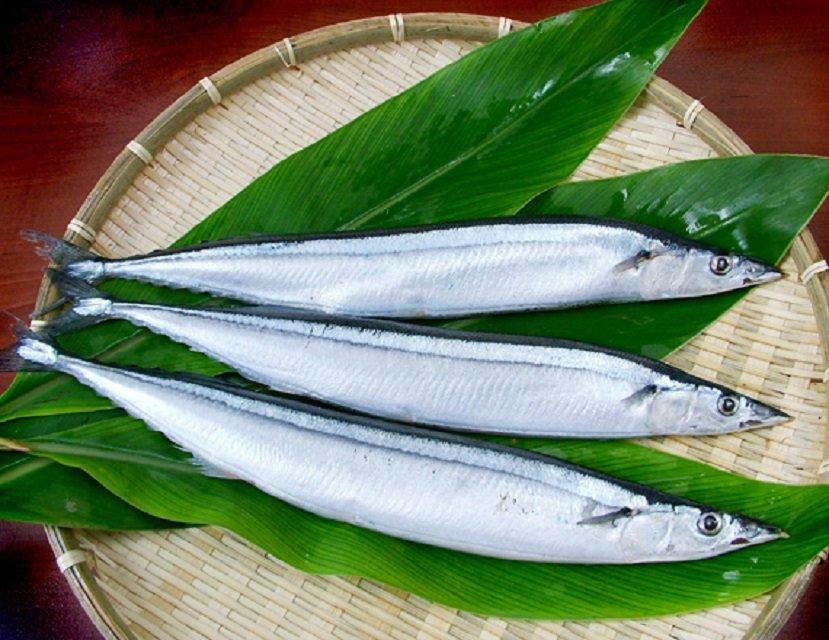 Frozen Pacific Saury