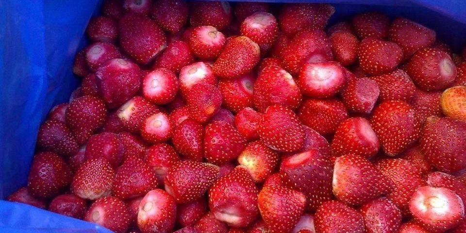 Frozen Strawberries Image 3