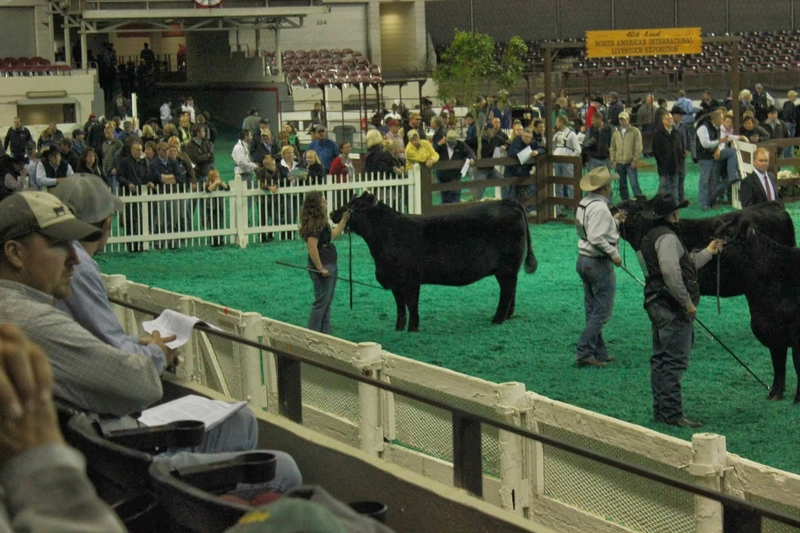North American International Livestock Exposition Spotlight: B2B Essentials - 2