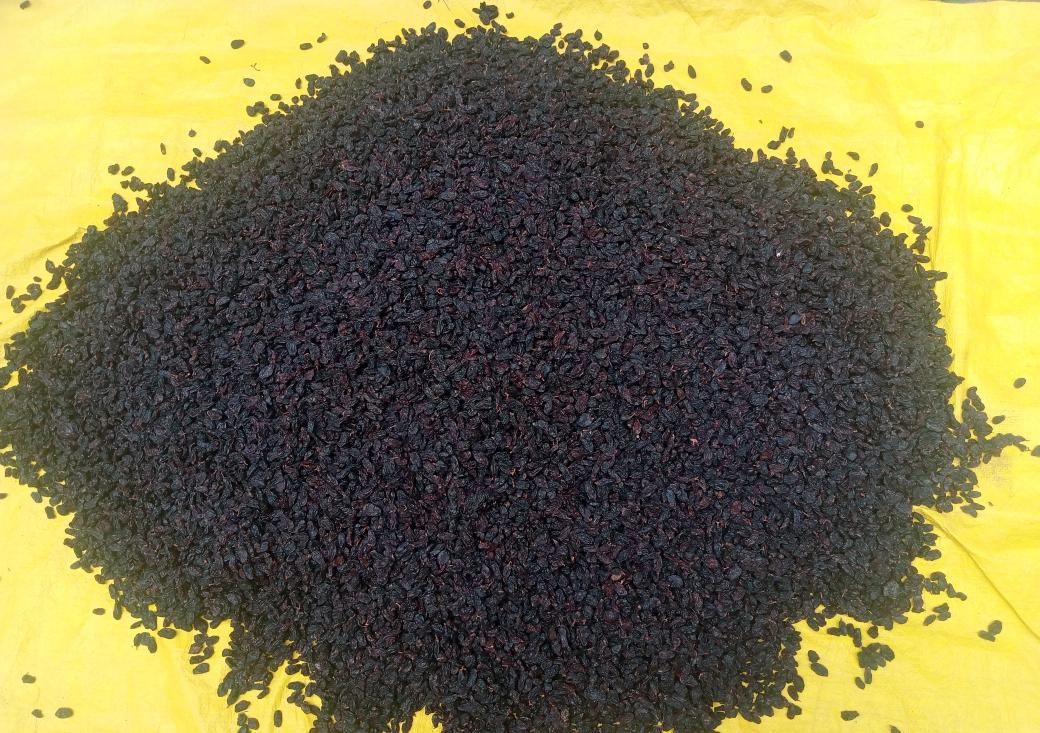 black tea