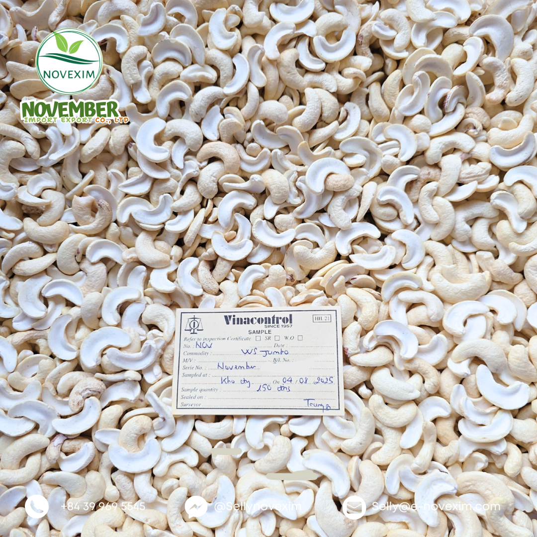 Top 8 Cashew Nuts suppliers in Vietnam: Capabilities & Buyer Fit - 4