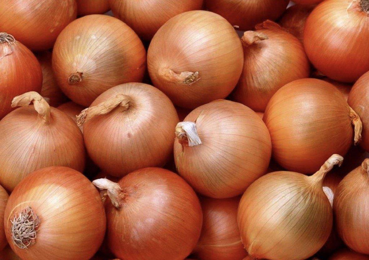 Golden onion
