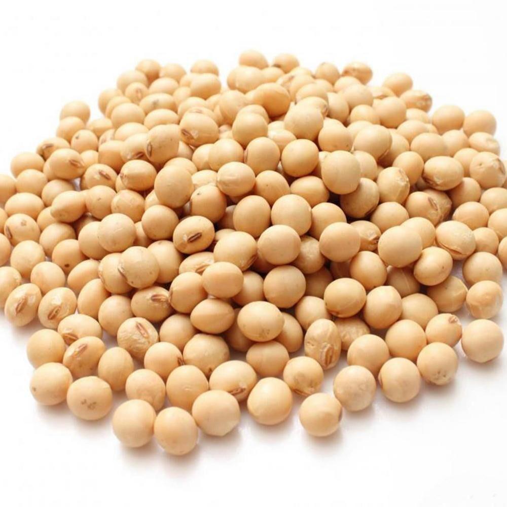 Discover the Top 5 Soybean suppliers in Thailand - 3