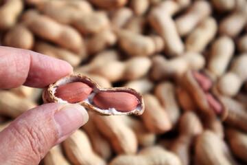 Organic Peanuts Image 2
