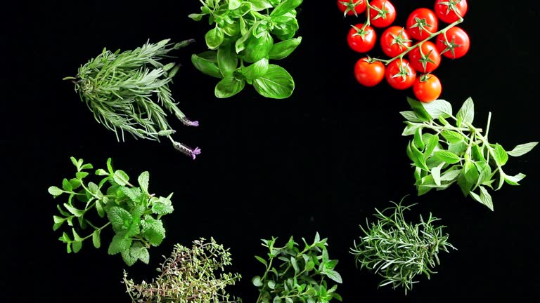 A Comprehensive Guide to Sourcing High-Quality Herbs: Top 8 Herbs Suppliers in France in August 2025