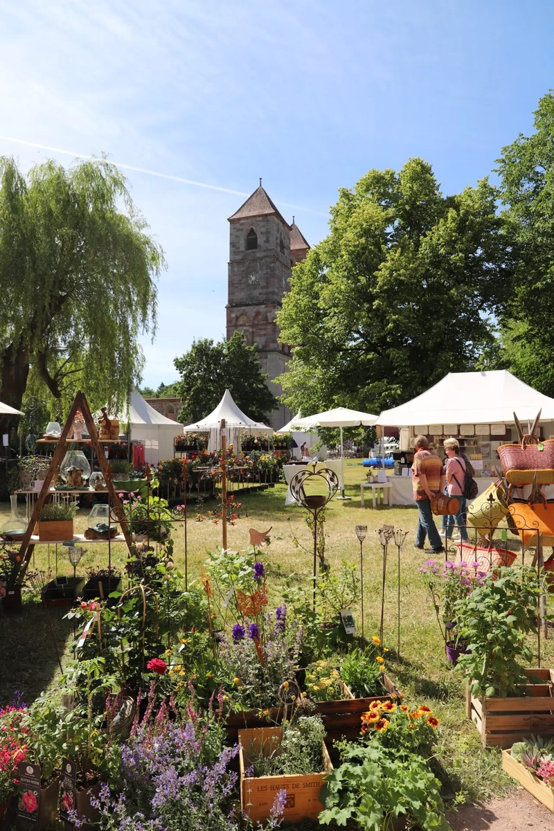 Why Attend Gartenmarkt? B2B Intro - 2