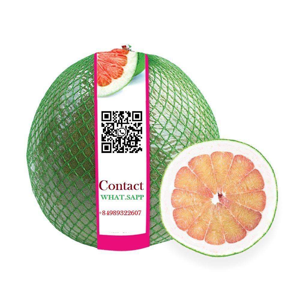 f73712ab87ed47428dd654a3cdad63a1