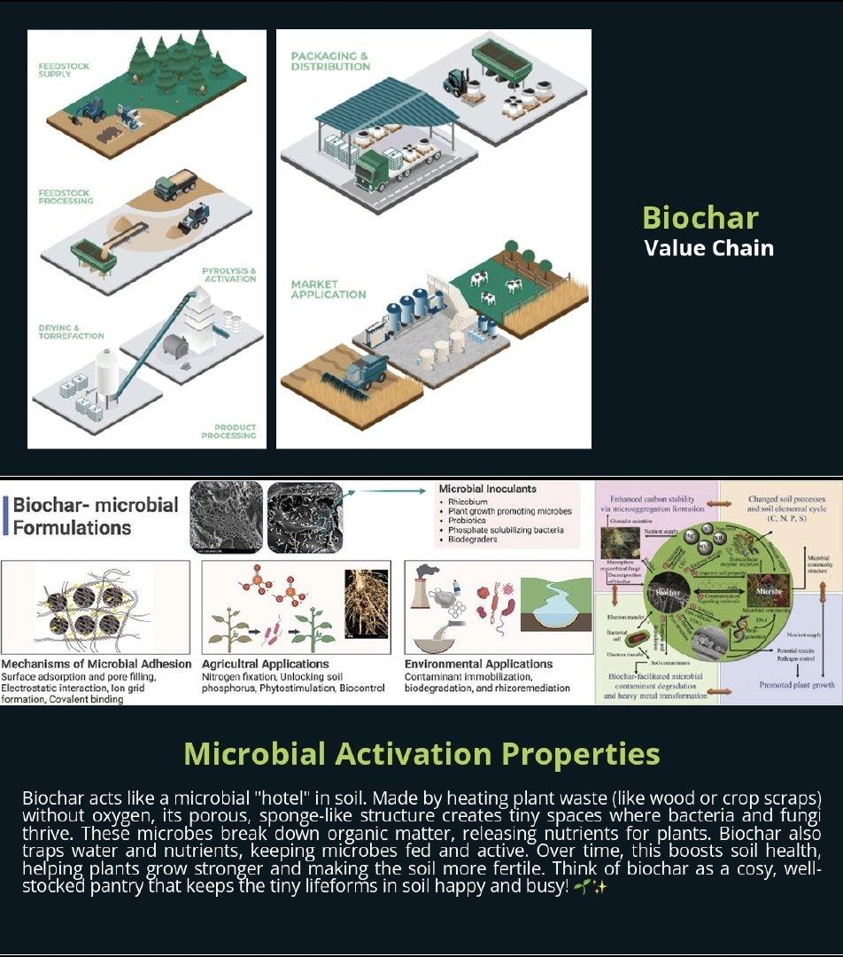 BIOCHAR 