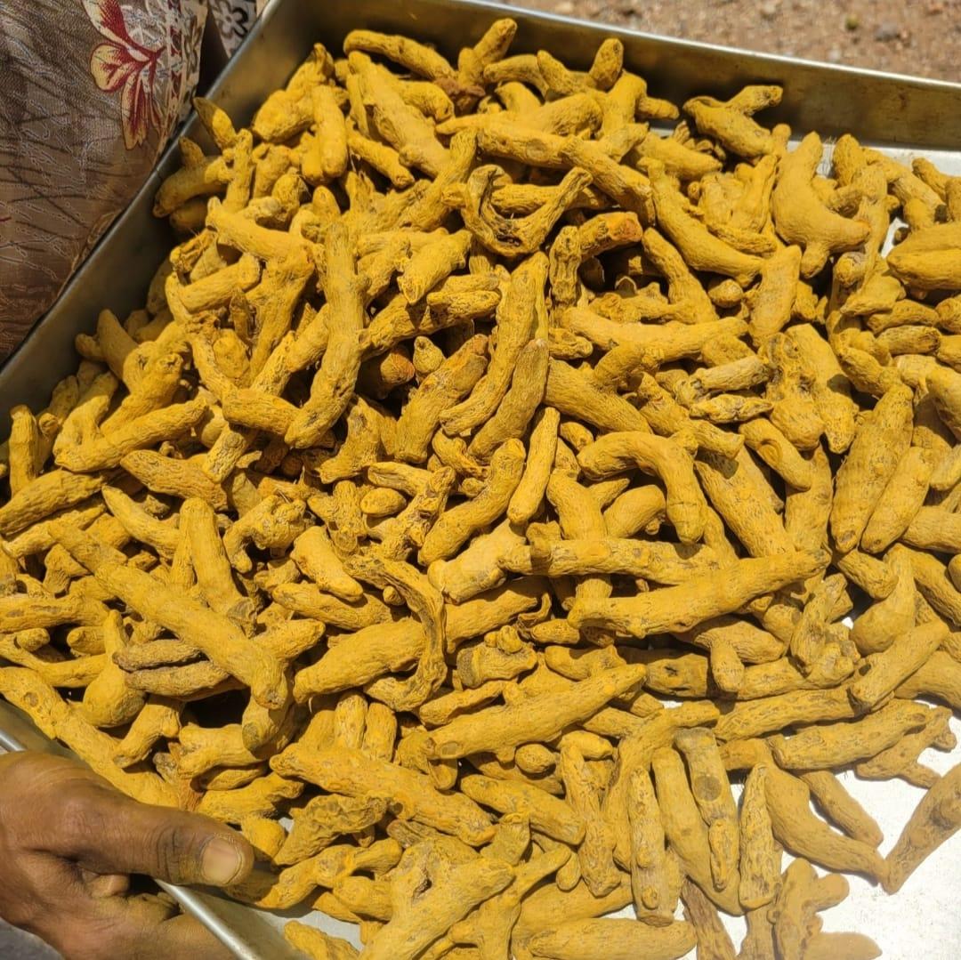 Top 9 verified Turmeric suppliers in India - 6