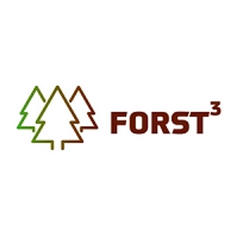 Why Forst3 Matters for B2B