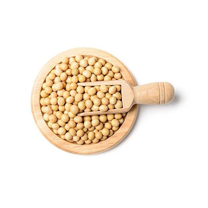 Meet the Top 4 Soybean suppliers in Germany - 4
