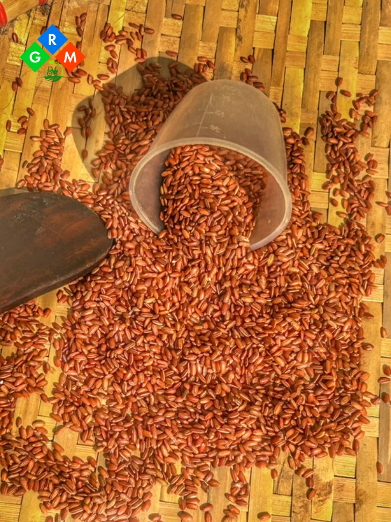 Red Rice Image 3