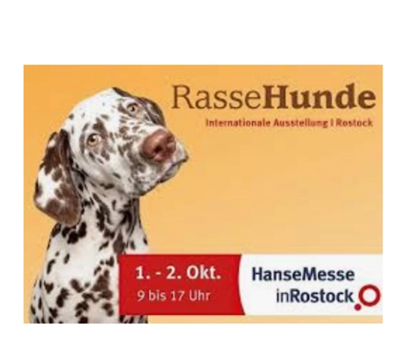 Discover INTERNATIONALE RASSEHUNDEAUSSTELLUNG: B2B Event Guide