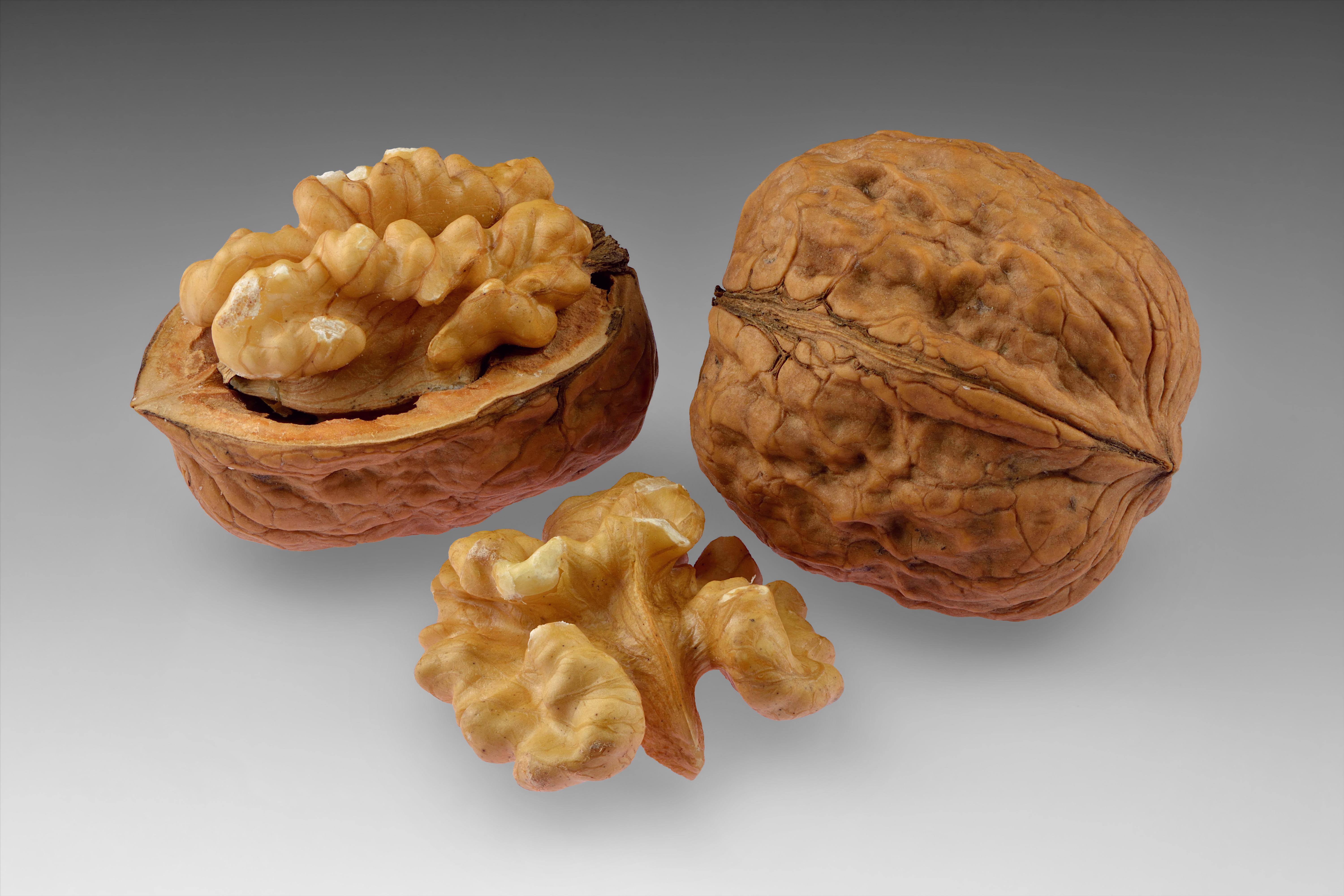 Factory Supply High Quality In Shell Walnuts and Walnut Kernels Fresh Natural Walnuts for Sale at Lowest Price