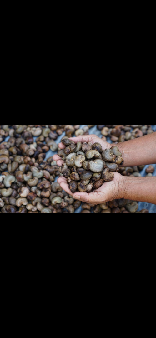 Agriculture, Food & Beverage – product photo, product description