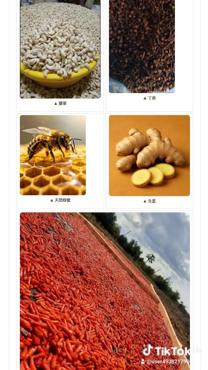 dry ceshew nuts – product photo, product description
