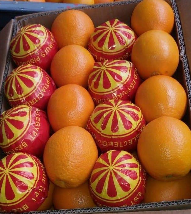 Selection of Oranges