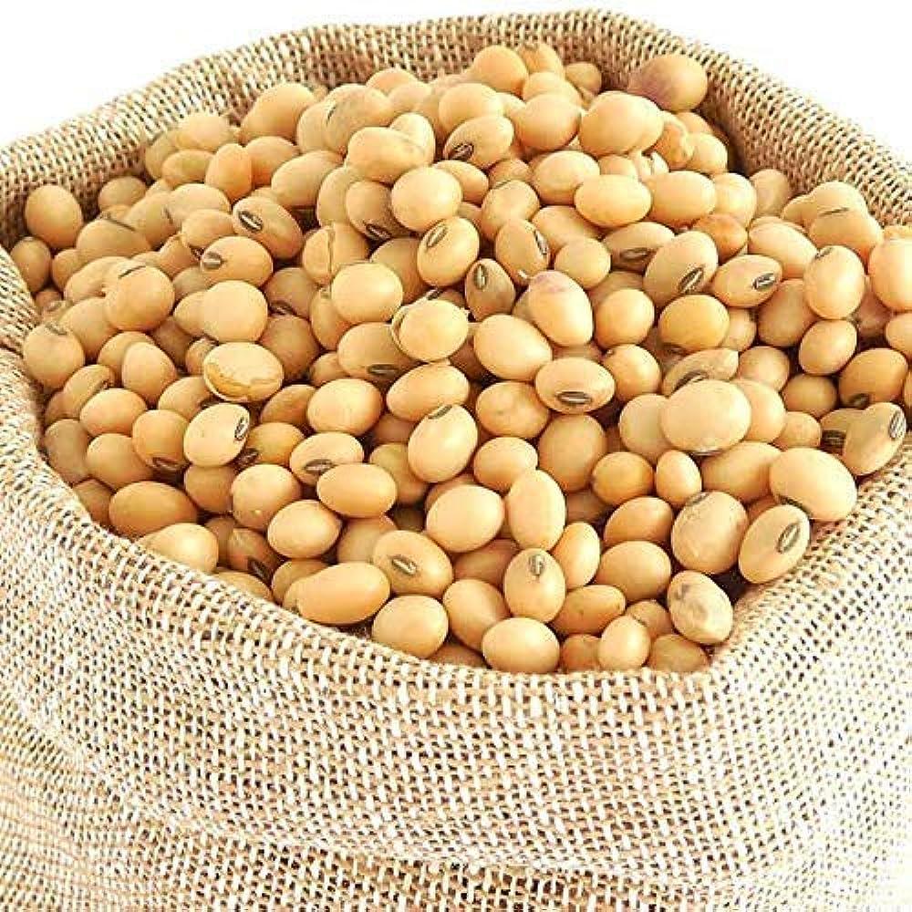 Premium Soybean Seed High Yield Soybean Seed With Exceptional Growth And Germination Rate For Reliable Harvests