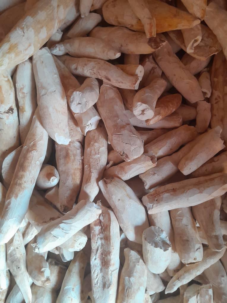 Cassava Chips 2
