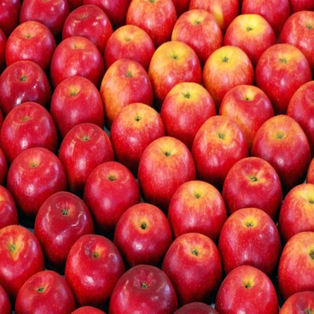 Fresh Apples