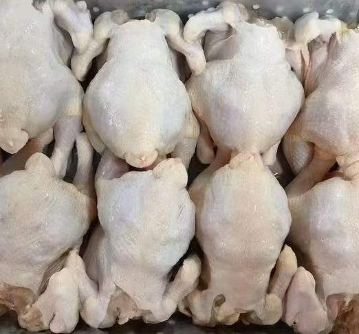Frozen Chicken