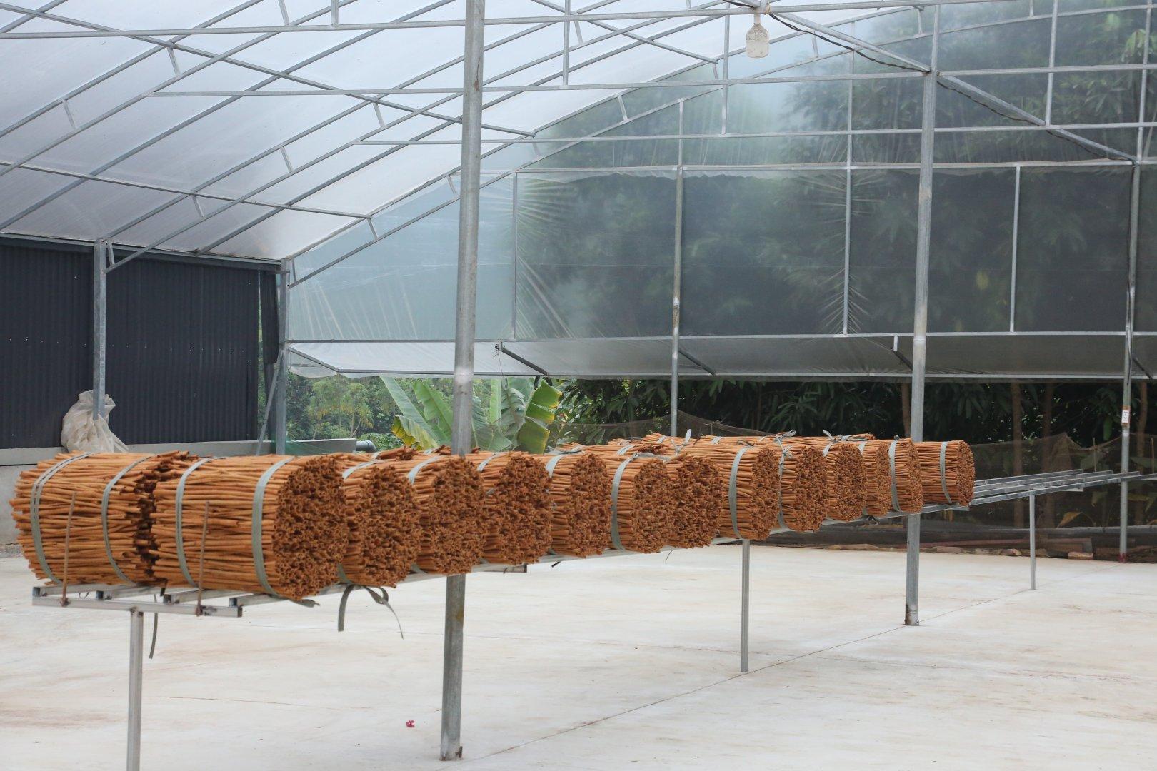 Discover the Top 9 Cinnamon Suppliers in Vietnam - 7