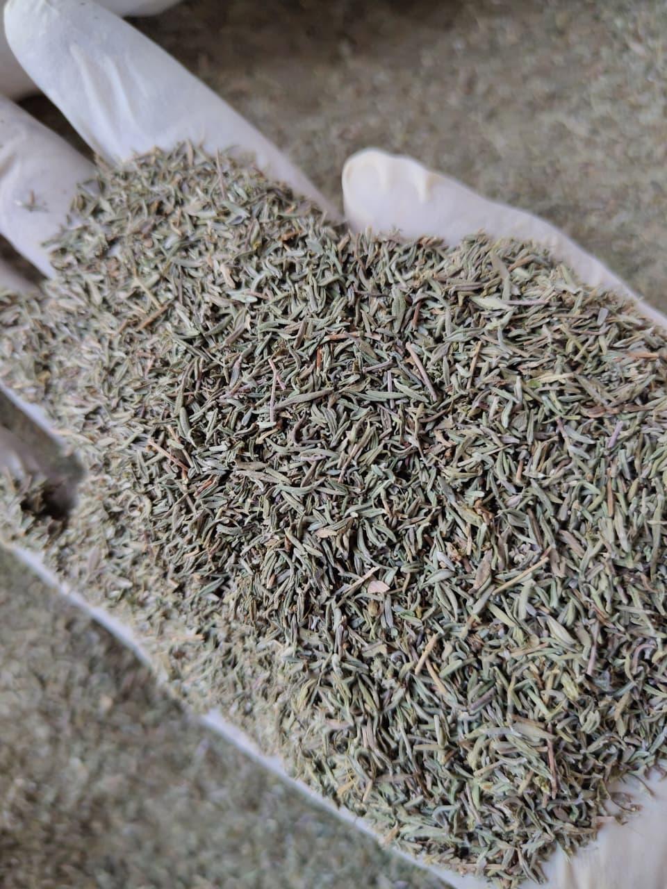 Thyme Leaves