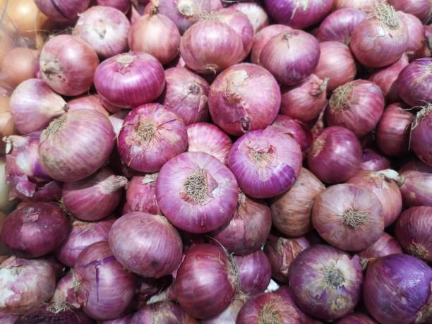 Top 8 Fresh Onion Suppliers in Pakistan in Quarter 2 of 2025