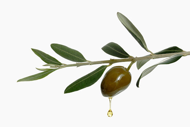 Top 10 Olive Oil Suppliers in Pakistan in Year 2025