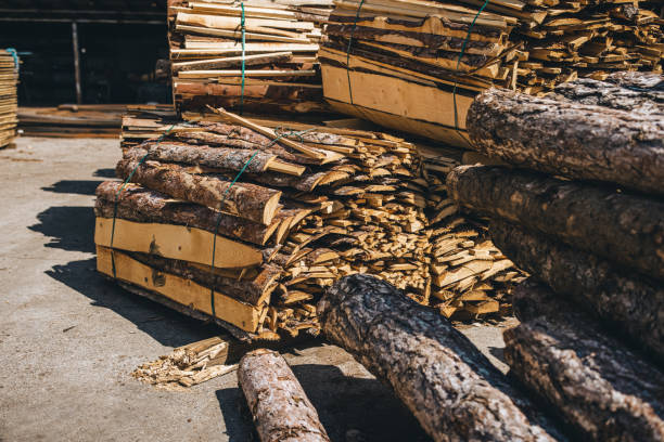 Urgent Market Update: Top 8 Wood Suppliers in Malaysia in Quarter 4 of 2025