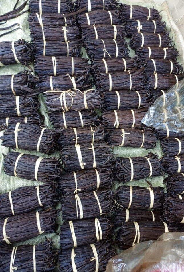 Premium Uganda Vanilla Beans from Roki Vanilla