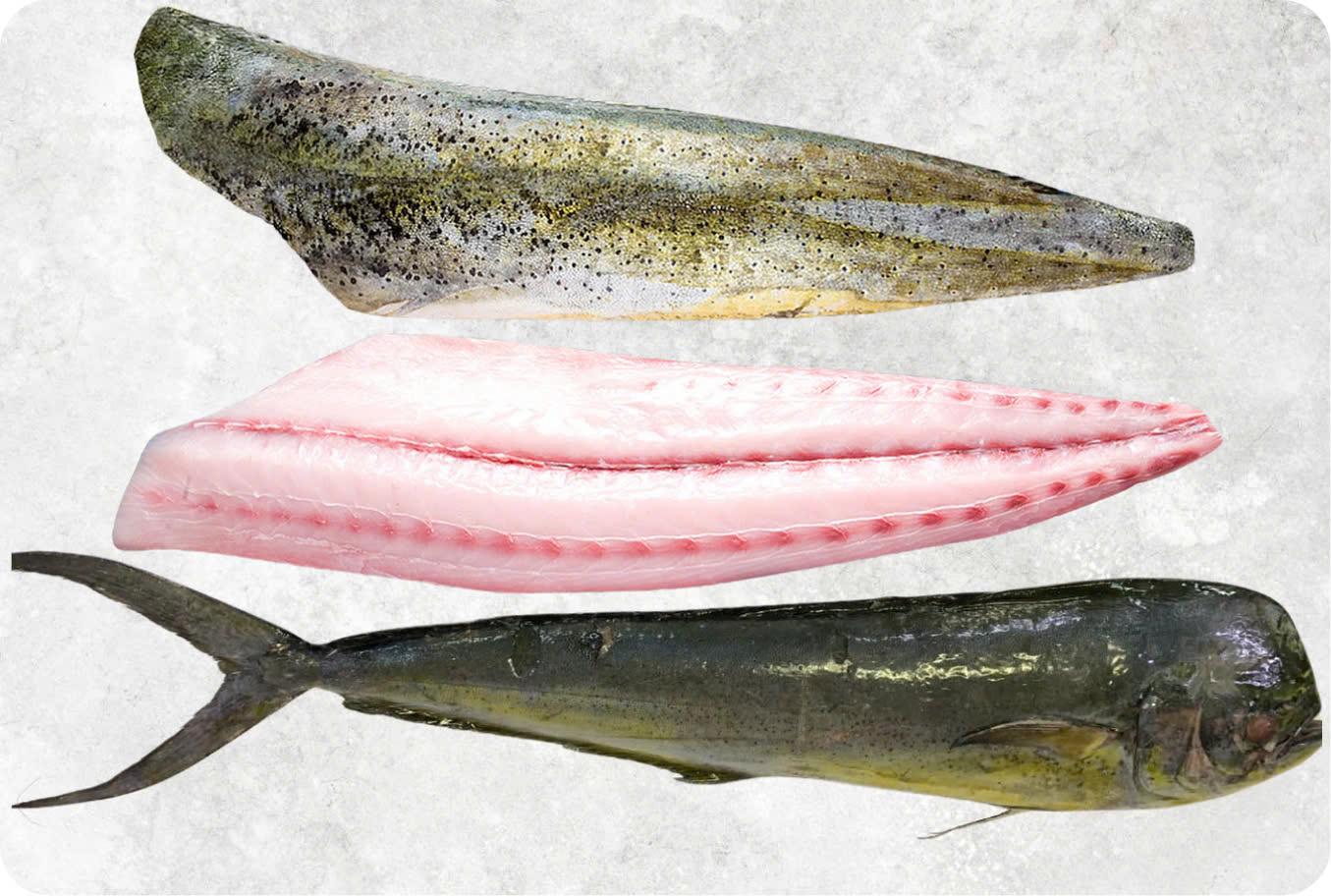Meet the Top 4 Frozen Fish suppliers in Vietnam - 3