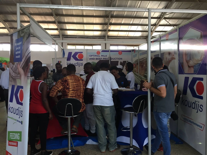 Inside Aviana Uganda: B2B Key Insights - 2