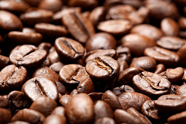 Top 4 Arabica Coffee Suppliers in China in August 2025