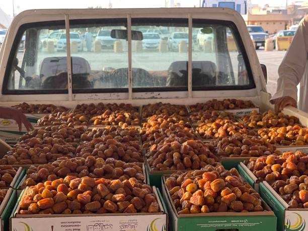 Top 10 Dates Suppliers in Indonesia in August 2025: Market Trends & Business Insights