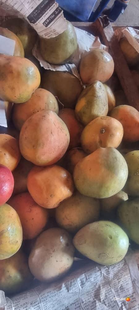 Mango Kent Image 5