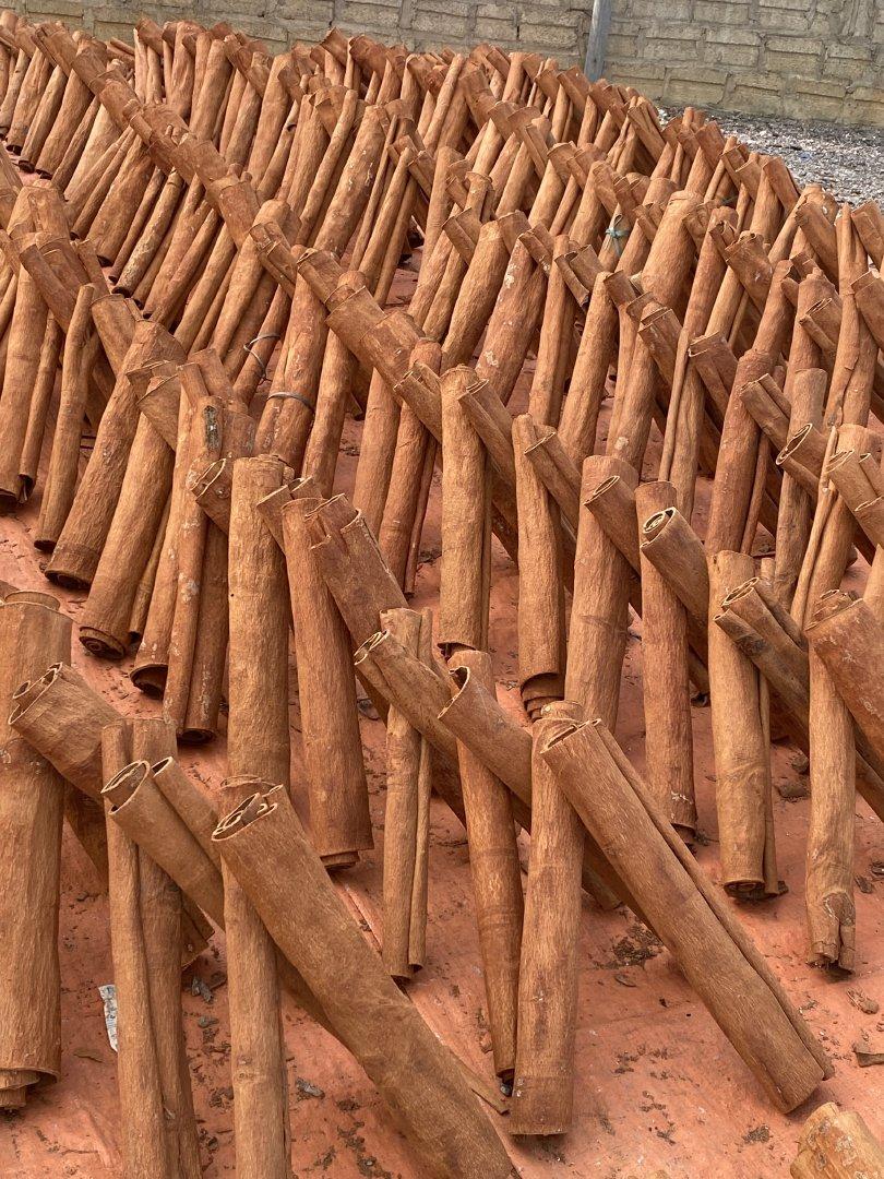 Discover the Top 9 Cinnamon Suppliers in Vietnam - 9