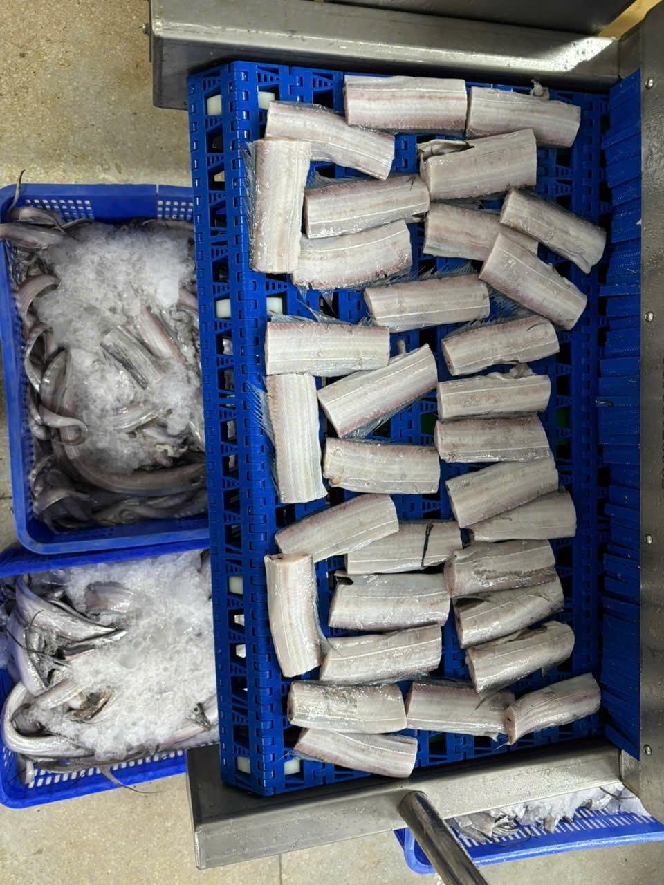 Meet the Top 4 Frozen Fish suppliers in Vietnam - 5