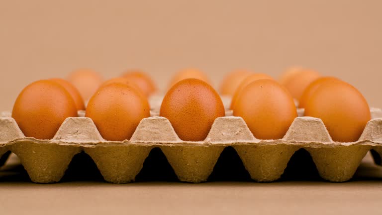 Eggs, Italy, Top 5 Eggs Suppliers in Italy in Year 2025