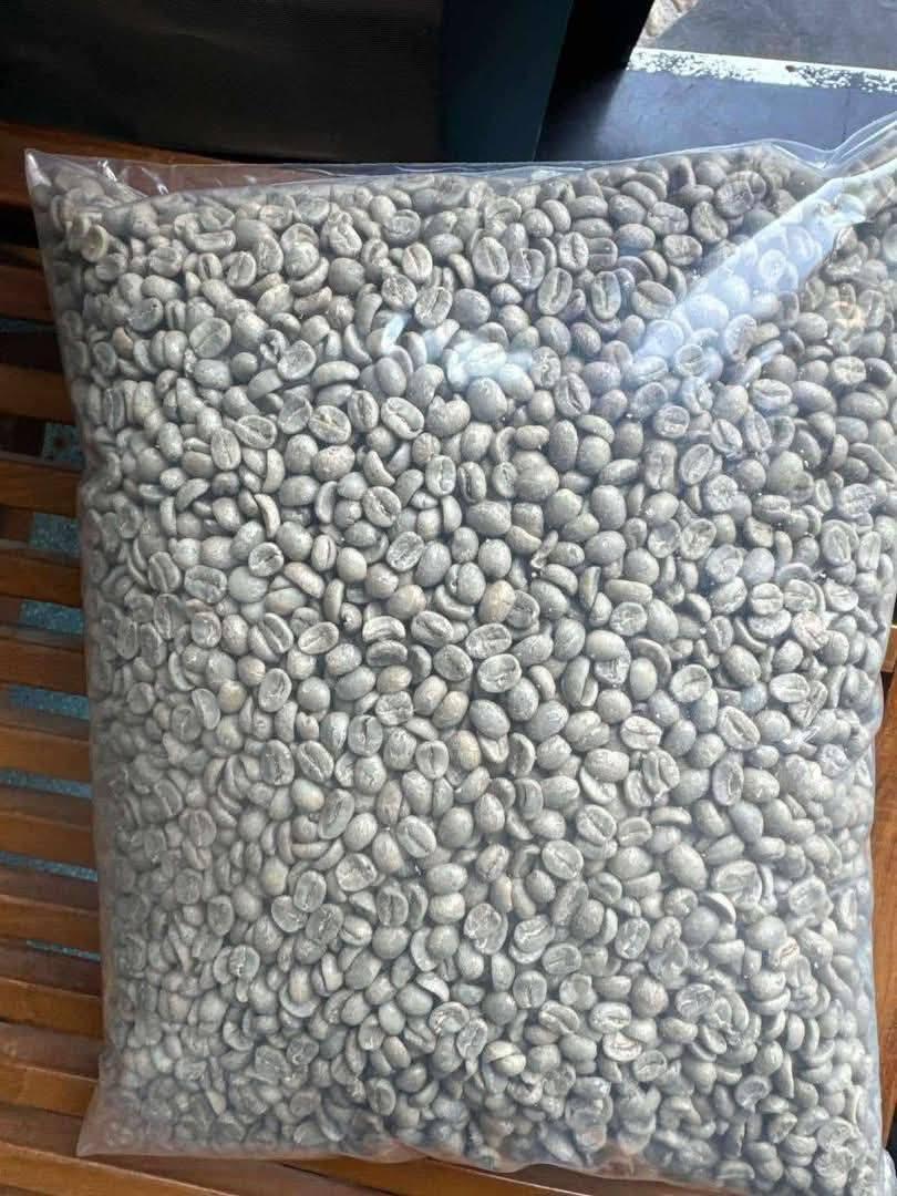 Premium Green Coffee Beans 2