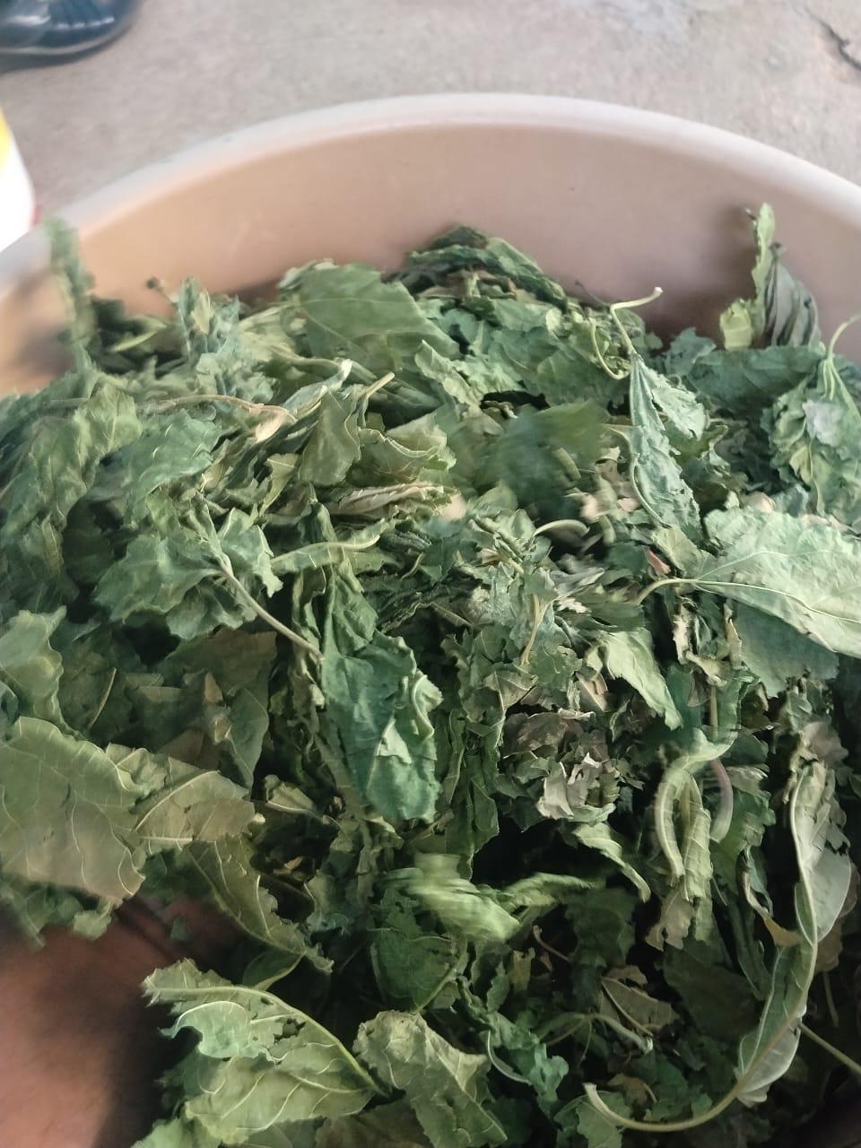 Organic Mulberry Leaves