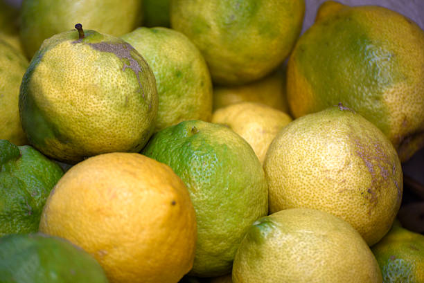 Top 3 Lemon Suppliers in Poland in June 2025 – Market Analysis, Export Trends & Insights