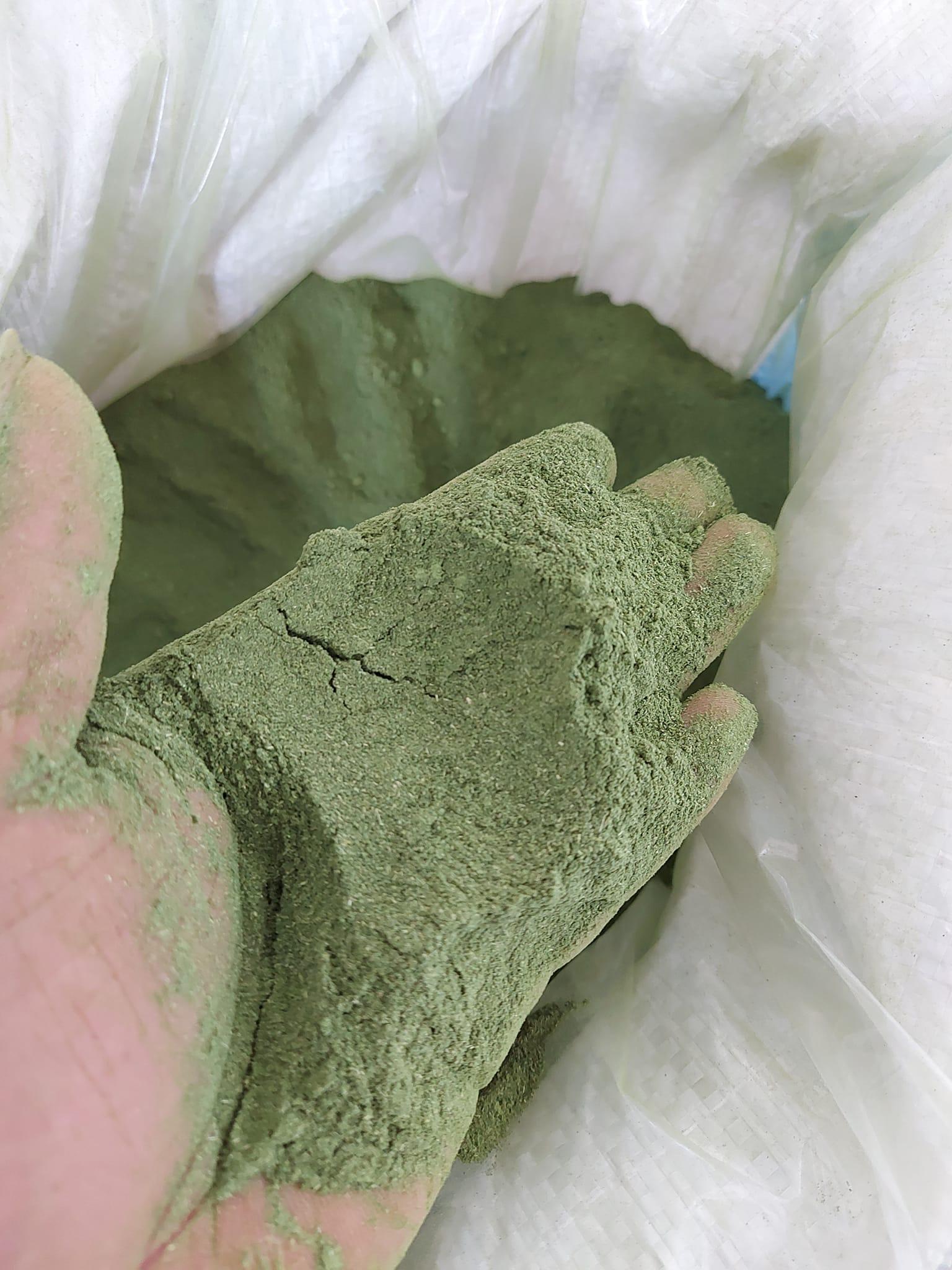 Moringa Powder Image 2