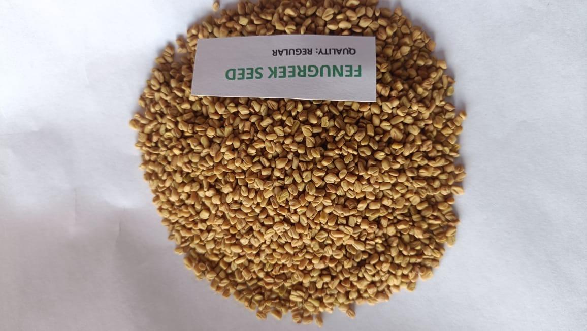 Fenugreek Seeds 1
